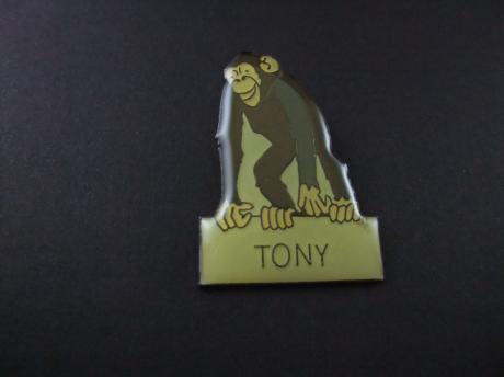 Chimpansee Aap Tony
